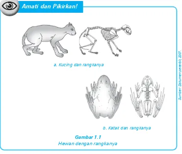 Gambar 1.1Hewan dengan rangkanya