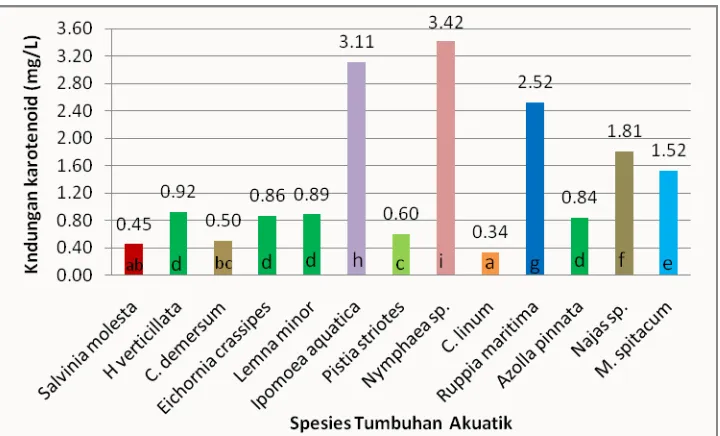 Gambar 1. Histogram kandungan klorofil total tiga belas spesies tumbuhan akuatik  