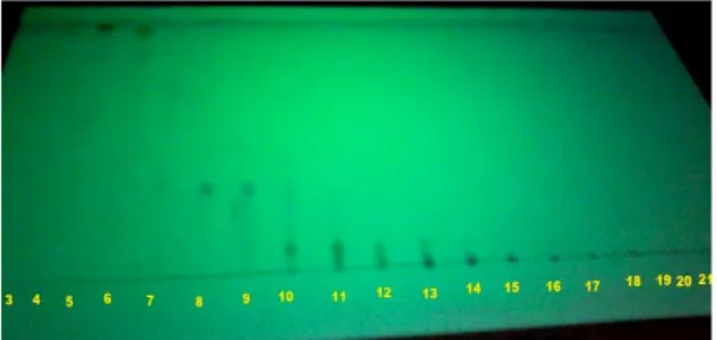 Gambar  2  KLT  extract  etil  asetat  setelah  dilakukan  pemisahan  menggunakan  kromatografi kolom vakum (KKV) 