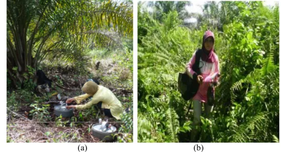 Gambar 20.  (a) Pengambilan sampel gas di titik pengamatan terdekat dengan    drainase kebun kelapa sawit desa Suak Puntong