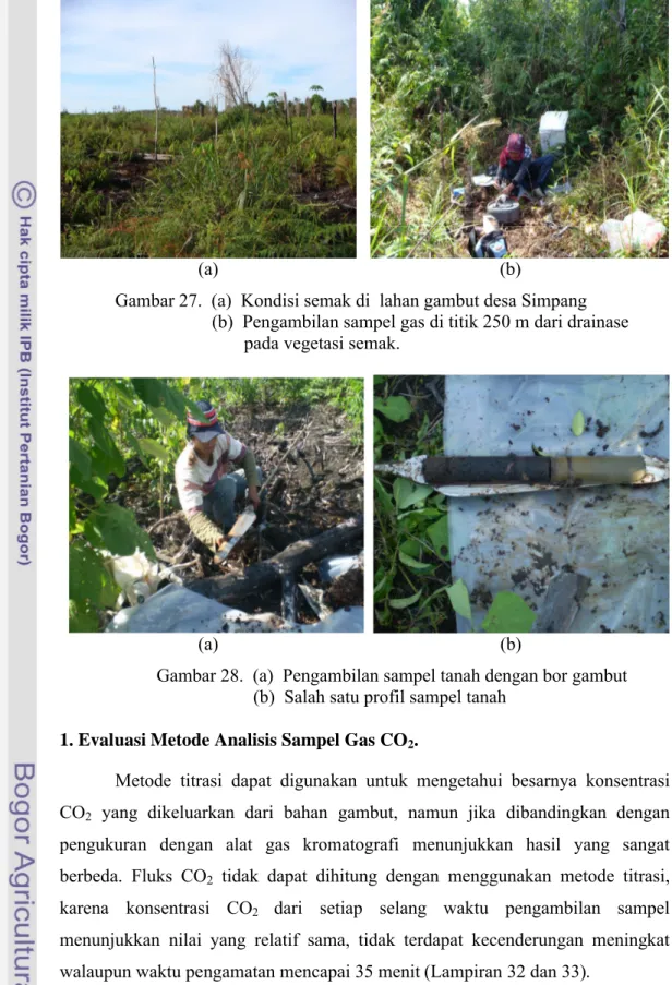 Gambar 28.  (a)  Pengambilan sampel tanah dengan bor gambut        (b)  Salah satu profil sampel tanah