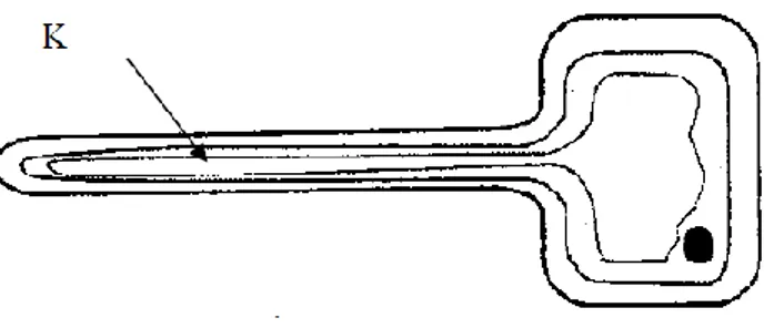 Diagram 9 shows the intake of K into a root cell.  