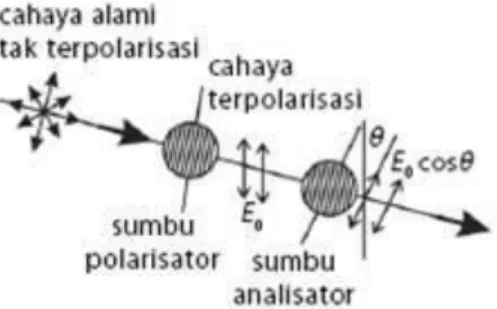 Gambar 2. Skema polarisasi selektif menggunakan filter polaroid. Hanya cahaya  dengan orientasi sejajar sumbu polarisasi polaroid yang diteruskan