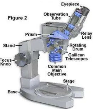 Gambar 5 Mikroskop Optik Stereo23