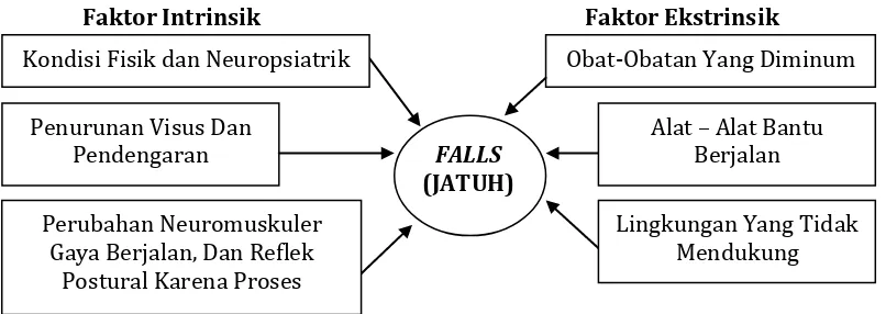Gambar 3. Faktor–faktor yang mempengaruhi lansia terhadap resiko jatuh (Nugroho, 2000)  