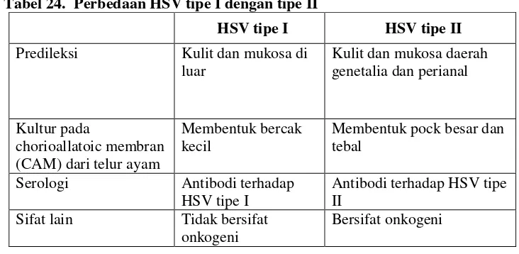 Tabel 24. Perbedaan HSV tipe I dengan tipe II 