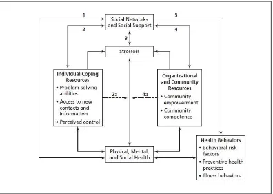 Gambar Conceptual Model for the Relationship of Social  Networks and Social Support to 