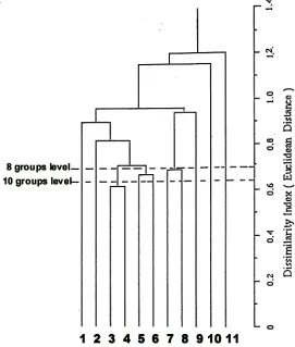 Figure 1. Average linkage of UPGMA clustering eleven species of Ranunculus. Squared Euclidean Distance to measure dissimilarity based on band frequency of PER, EST, MDH, and ACP