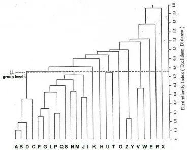 Figure 2. Average linkage of UPGMA clustering population of Ranunculus species. Squared euclidean distance to measure the dissimilarity based on band frequency of PER, EST, MDH, and ACP