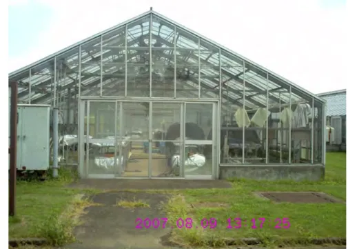 Gambar 3  Greenhouse tempat penelitian.  3.2 Alat dan Bahan 