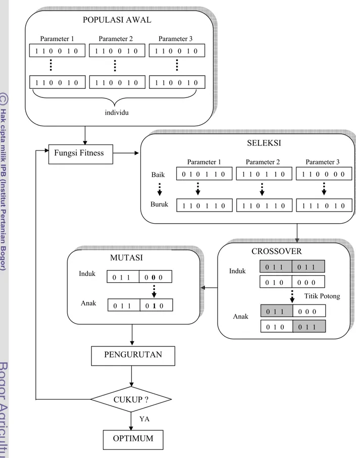 Gambar 6  Prosedur optimisasi menggunakan Algoritma Genetika. individu Parameter 3 Parameter 2 Parameter 1 1  1  0   0   1  0  1  1  0   0   1  0 1  1  0   0   1  0 1  1  0   0   1  0  1  1  0   0   1  0 1  1  0   0   1  0 POPULASI AWAL Fungsi Fitness  Par