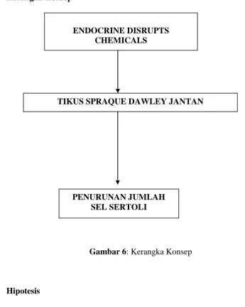 Gambar 6: Kerangka Konsep 