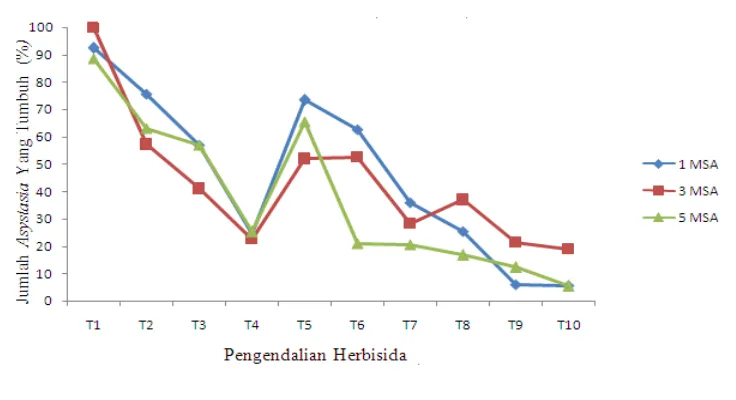 Gambar 1. Hubungan Asystasia yang tumbuh secara periodik dengan                         pengendalian herbisida pada 1, 3, dan 5 MSA