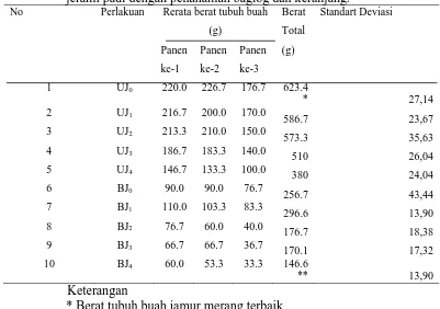 Tabel 4.3 Total berat tubuh buah jamur merang (g) pada panen ke-1, ke-2, dan ke-3, perlakuan perbandingan berat berbeda media batang jagung dan 