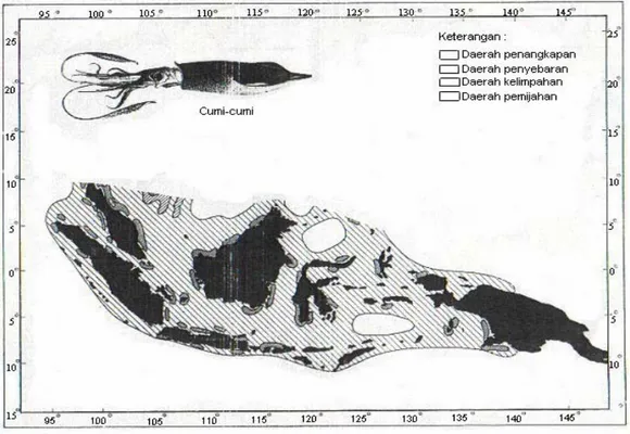 Gambar 4   Peta  penyebaran cumi-cumi di Indonesia (Ditjen Perikanan DEPTAN,                       1987) 