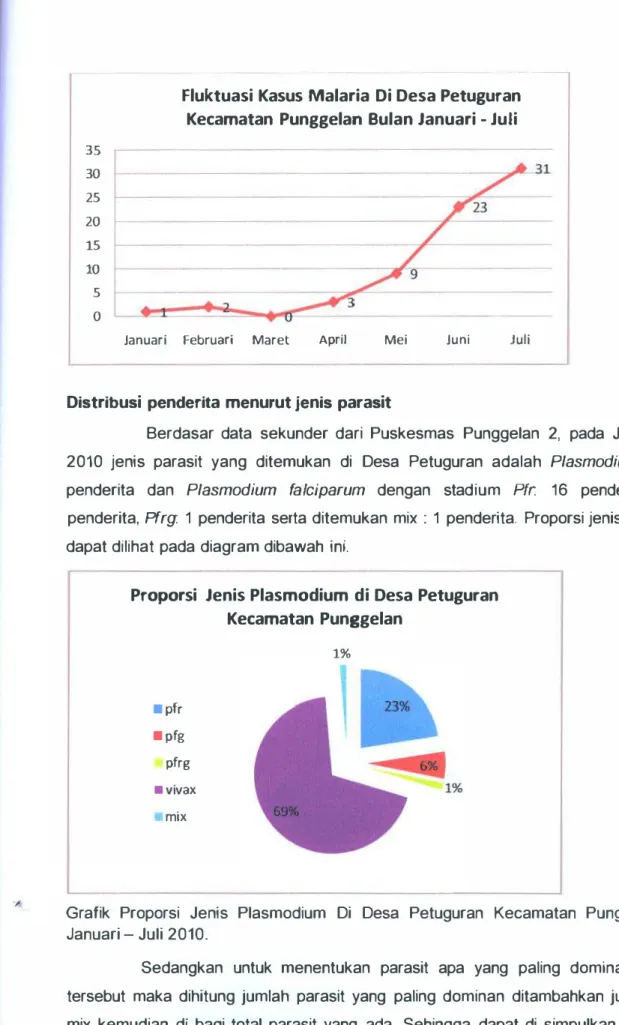 Grafik  Proporsi  Jenis  Plasmodium  Di  Desa  Petuguran  Kecamatan  Punggelan  Bulan  Januari - Juli 2010
