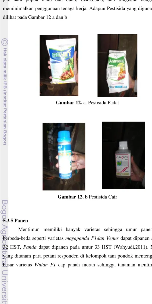 Gambar 12. a. Pestisida Padat 