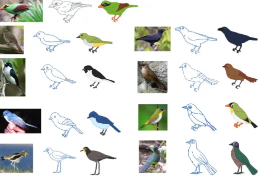 Gambar 3.37. Proses Ilustrasi Burung 