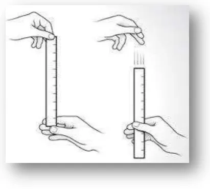 Gambar 1. Proses Ruler Drop Test 