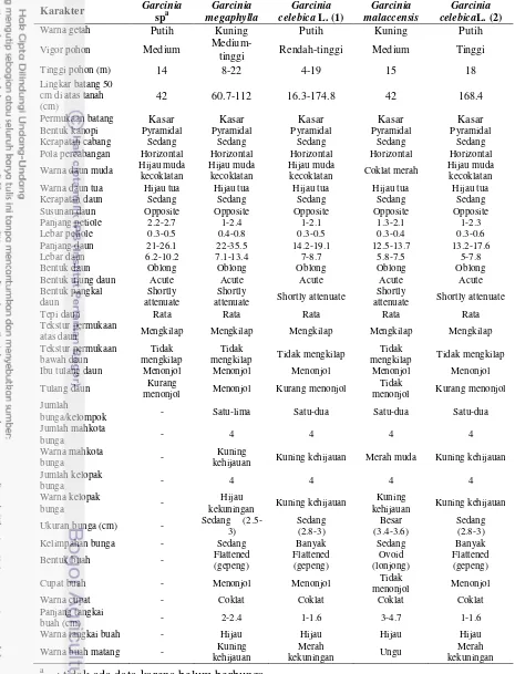 Tabel 4  Karakter morfologi Garcinia spp. 