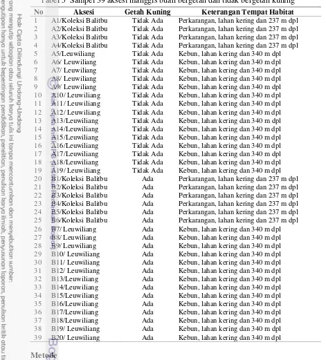 Tabel 5  Sampel 39 aksesi manggis buah bergetah dan tidak bergetah kuning 