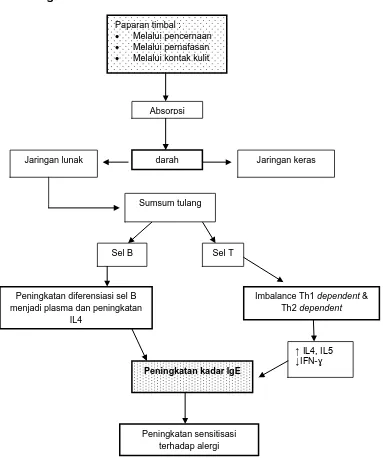 Gambar 2.2. Kerangka teori 