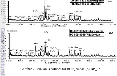Gambar 7 Pola XRD sampel (a) BCP_3a dan (b) BP_3b 