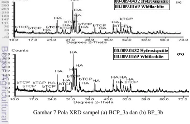 Gambar 7 Pola XRD sampel (a) BCP_3a dan (b) BP_3b 