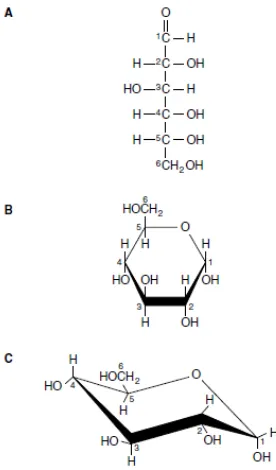 Gambar 1. Struktur glukosa10 