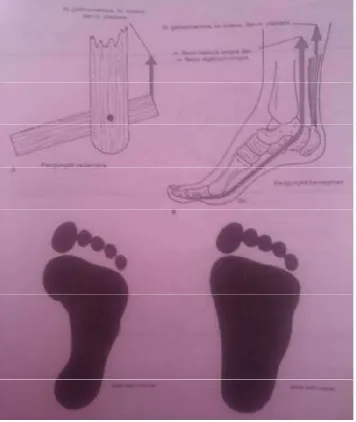 Gambar 7. Kaki sebagai pengungkit sederhana dan diperlihatkan juga jejak kaki 