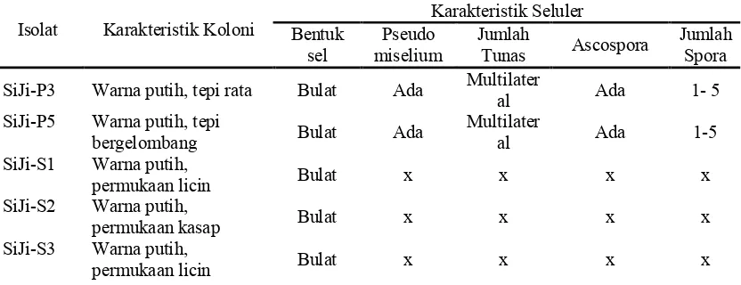 Tabel 1. Karakteristik Isolat Yeast Hasil Isolasi Pada Berbagai Macam Buah 