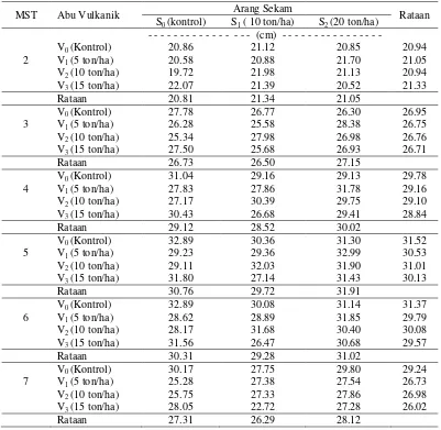 Tabel 1. Rataan panjang tanaman 2 ˗ 7 MST (cm) p ada perlakuan abu vulkanik dan arang sekam padi 