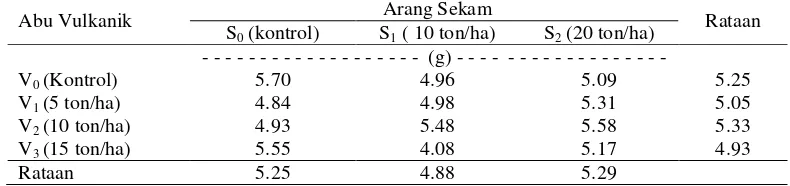 Tabel 7. Rataan bobot basah umbi per sampel (g) pada perlakuan abu vulkanik dan arang sekam padi 