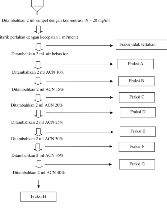 Gambar 5  Cara isolasi peptida dari fraksi 1 ekstrak ikan asin jambal roti  menggunakan teknik Solid Phase Extraction (SPE) 