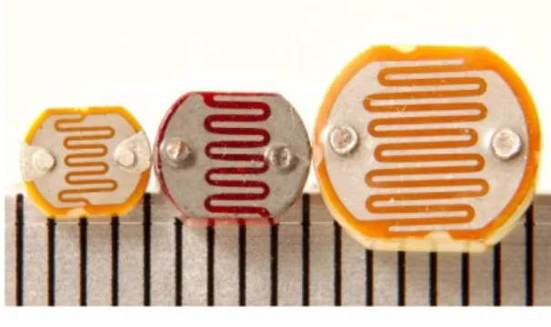 Gambar 2.1 Light Dependent Resistor  (Sumber : Afdillah, 2008) 