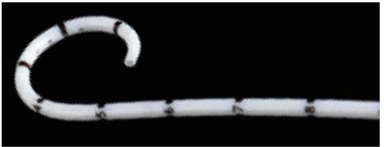 Gambar 2.7 Pigtail kateter dengan guidewire  (Mahmood K, Wahidi MM,2013) 