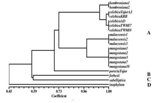 Gambar 5.   Dendrogram  analisis  karakter  morfologi  G. mangostana dan  kerabat dekatnya membentuk 4 kelompok pada koefisien  kemiripan 0.67 