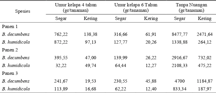 Tabel 7. Produksi Brachiaria di bawah naungan pohon kelapa pada berbagia umur di Pakuwon Jawa Barat 