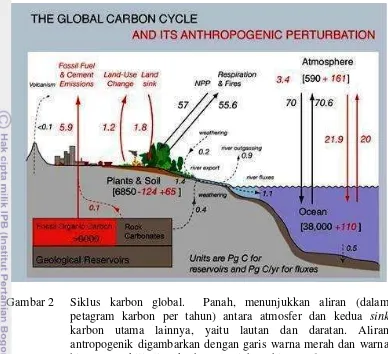 Gambar 2  Siklus karbon global.  Panah, menunjukkan aliran (dalam 
