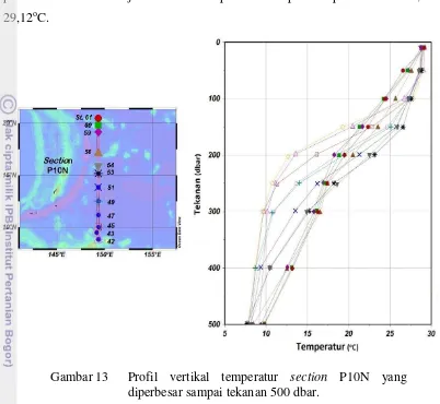 Gambar 13   Profil vertikal temperatur section P10N yang 