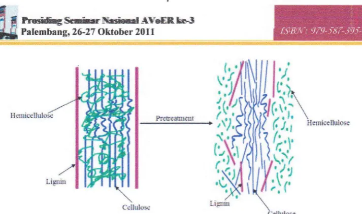 Gambar 2. Skema pretreatment biomassa lignoselulosa (Kumar dkk, 2009)