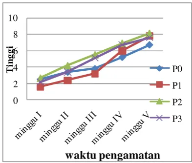 gambar 4.  