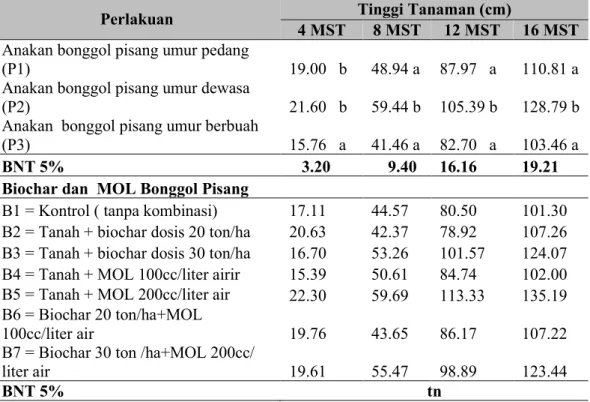 Tabel  1.    Pengaruh  Pemberian  Biochar  dan  MOL  Bonggol  Pisang  Terhadap  Rata-Rata   Tinggi Tanaman Pisang  