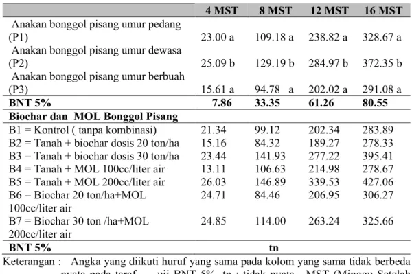 Tabel  4.  Pengaruh  Pemberian  Biochar  dan  MOL  Bonggol  Pisang  Terhadap  Rata-Rata  Diameter Batang pada Pohon Pisang 