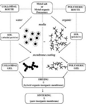 Gambar 2. 3. Metoda Sol-gel dalam Pembuatan Membran KeramikSumber : Caro, J et al (2000)