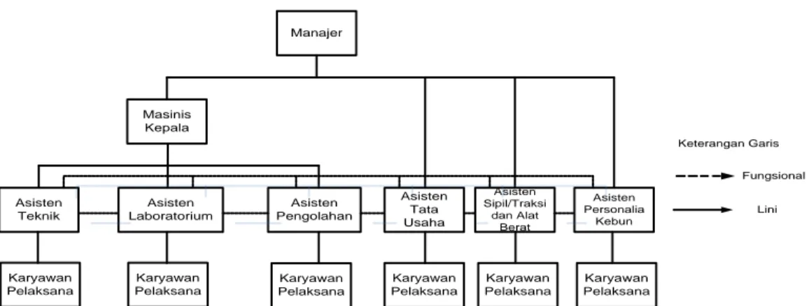 Gambar 2.1. Struktur Organisasi PT. Nusantara III Gunung Para 
