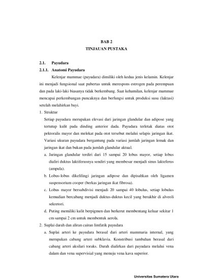 BAB 2 TINJAUAN PUSTAKA