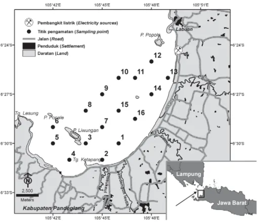 Figure 1. The study area in Lada Bay, Panimbang and distribution of sampling positions