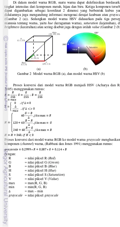 Gambar 2  Model warna RGB (a), dan model warna HSV (b) 