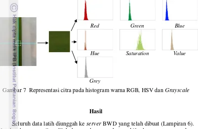 Gambar 7  Representasi citra pada histogram warna RGB, HSV dan Grayscale 